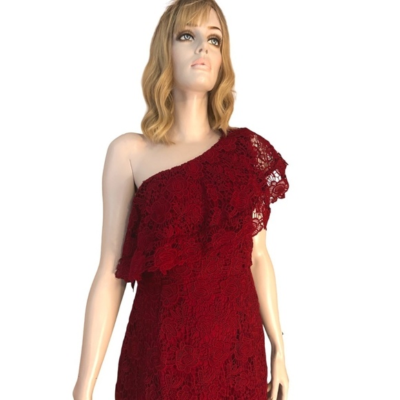Nanette Lepore Sheath Dress Embroidered All Over Lace Cranberry Red One Shoulder - Picture 5 of 14